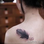 Фото рисунка тату на лопатке 05.11.2018 №543 -tattoo on the shoulder blade - tatufoto.com