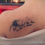 Фото тату одуванчика с летящими семенами и надписью 'We accept the love we think we deserve' на женской лопатке.