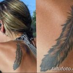 Фото рисунка тату на лопатке 05.11.2018 №603 -tattoo on the shoulder blade - tatufoto.com