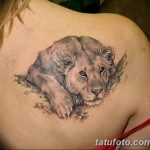 Фото рисунка тату на лопатке 05.11.2018 №611 -tattoo on the shoulder blade - tatufoto.com