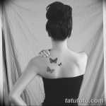 Фото рисунка тату на лопатке 05.11.2018 №614 -tattoo on the shoulder blade - tatufoto.com