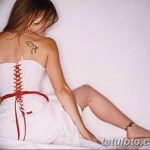 Фото рисунка тату на лопатке 05.11.2018 №619 -tattoo on the shoulder blade - tatufoto.com