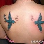 Фото рисунка тату на лопатке 05.11.2018 №715 -tattoo on the shoulder blade - tatufoto.com