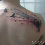Фото рисунка тату на лопатке 05.11.2018 №718 -tattoo on the shoulder blade - tatufoto.com