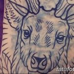 фото рисунка тату в стиле графика 14.11.2018 №040 - tattoo style graphics - tatufoto.com