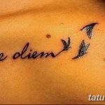 фото рисунка тату надписи Carpe diem 16.11.2018 №001 - tattoo carpe diem - tatufoto.com