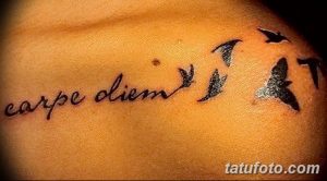 Фото тату надписи 'carpe diem' на плече, дополненной изображением летящих птиц. Черно-серая татуировка с легким и воздушным дизайном.