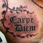 Фото тату надписи 'Carpe Diem' на груди, выполненной в стиле старой стены с трещинами и обвитой ветками. Черно-серый рисунок, реалистичный эффект.