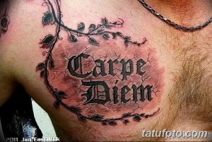 Фото тату надписи 'Carpe Diem' на груди, выполненной в стиле старой стены с трещинами и обвитой ветками. Черно-серый рисунок, реалистичный эффект.