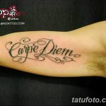 фото рисунка тату надписи Carpe diem 16.11.2018 №083 - tattoo carpe diem - tatufoto.com
