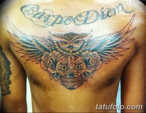 Фото тату на груди с изображением совы, черепа, цветов и надписи 'Carpe Diem' в ярких цветах.