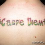 фото рисунка тату надписи Carpe diem 16.11.2018 №113 - tattoo carpe diem - tatufoto.com