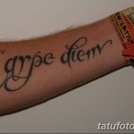 фото рисунка тату надписи Carpe diem 16.11.2018 №147 - tattoo carpe diem - tatufoto.com