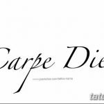 фото рисунка тату надписи Carpe diem 16.11.2018 №155 - tattoo carpe diem - tatufoto.com