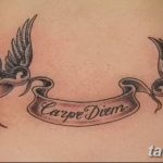 Фото татуировки надписи 'Carpe Diem' на спине, окруженной двумя ласточками, держащими ленту с надписью. Красивый и символичный рисунок тату.