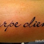 Фото тату с надписью 'Carpe Diem' на животе, выполненной простым, но элегантным шрифтом. Минималистичный эскиз тату для любителей лаконичности.