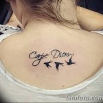 фото рисунка тату надписи Carpe diem 16.11.2018 №244 - tattoo carpe diem - tatufoto.com