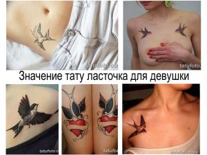 Коллаж из нескольких фотографий татуировок ласточек, расположенных на разных частях тела, предназначенных для вдохновения девушек.