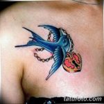 фото тату ласточка для девушки 24.12.2018 №015 - tattoo swallow for a girl - tatufoto.com