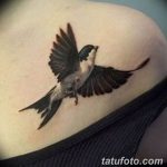 фото тату ласточка для девушки 24.12.2018 №016 - tattoo swallow for a girl - tatufoto.com