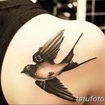 фото тату ласточка для девушки 24.12.2018 №019 - tattoo swallow for a girl - tatufoto.com