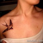 фото тату ласточка для девушки 24.12.2018 №051 - tattoo swallow for a girl - tatufoto.com