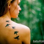 Фото тату нескольких ласточек на спине. Черно-серые рисунки татуировок, расположенные каскадом. Идея для женского тату.
