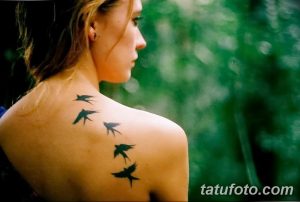 Фото тату нескольких ласточек на спине. Черно-серые рисунки татуировок, расположенные каскадом. Идея для женского тату.