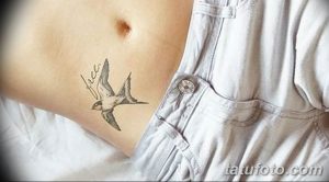 Фото татуировки ласточки с надписью 'free' на боку. Минималистичный рисунок татуировки, символизирующий свободу и независимость.