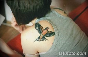 Фото акварельной татуировки ласточки на плече. Мягкие переходы цветов и легкий, воздушный стиль.