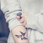 фото тату ласточка для девушки 24.12.2018 №083 - tattoo swallow for a girl - tatufoto.com