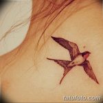 фото тату ласточка для девушки 24.12.2018 №088 - tattoo swallow for a girl - tatufoto.com
