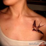 фото тату ласточка для девушки 24.12.2018 №089 - tattoo swallow for a girl - tatufoto.com