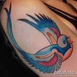 фото тату ласточка для девушки 24.12.2018 №093 - tattoo swallow for a girl - tatufoto.com