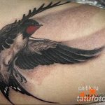 Фото тату: черно-серая татуировка ласточки с красным акцентом на груди, выполненная на руке. Детализированный рисунок татуировки.