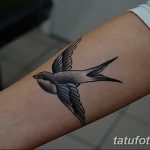 фото тату ласточка для девушки 24.12.2018 №110 - tattoo swallow for a girl - tatufoto.com