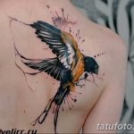 фото тату ласточка для девушки 24.12.2018 №112 - tattoo swallow for a girl - tatufoto.com