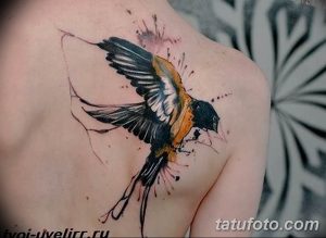 Фото акварельной тату птицы на плече с эффектом брызг краски. Яркий и оригинальный рисунок татуировки в технике акварель.