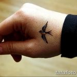 фото тату ласточка для девушки 24.12.2018 №113 - tattoo swallow for a girl - tatufoto.com