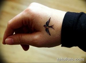 Фото тату маленькой ласточки на руке, выполненной в ярких цветах. Нежный и милый рисунок татуировки для девушек.