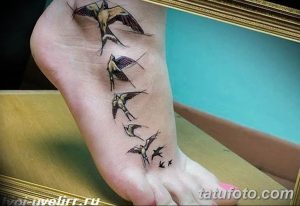 Фото тату нескольких ласточек на ноге. Черно-серая татуировка в стиле графика с четкими линиями и минимальным количеством деталей. Идеально для любителей элегантного дизайна.