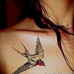фото тату ласточка для девушки 24.12.2018 №139 - tattoo swallow for a girl - tatufoto.com