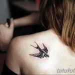 Фото небольшой татуировки ласточки на лопатке. Рисунок выполнен в черно-серых тонах с использованием тонких линий.