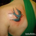 фото тату ласточка для девушки 24.12.2018 №143 - tattoo swallow for a girl - tatufoto.com