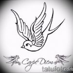 Фото эскиза татуировки ласточки с надписью 'Carpe Diem'. Рисунок выполнен в черном цвете с использованием каллиграфического шрифта.