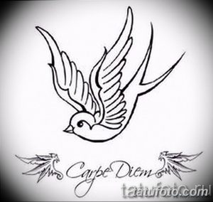 Фото эскиза татуировки ласточки с надписью 'Carpe Diem'. Рисунок выполнен в черном цвете с использованием каллиграфического шрифта.