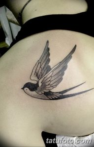 Фото тату ласточки на спине, выполненной в технике black and grey. Детализированный рисунок татуировки с акцентом на крылья.