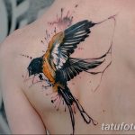 Фотография акварельной татуировки птицы с расправленными крыльями, выполненной в ярких цветах на лопатке. Эффект размытия и брызг краски.