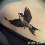 Фото тату реалистичной ласточки на плече. Детализированный рисунок татуировки с использованием черно-серых оттенков.