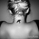 фото тату ласточка для девушки 24.12.2018 №186 - tattoo swallow for a girl - tatufoto.com